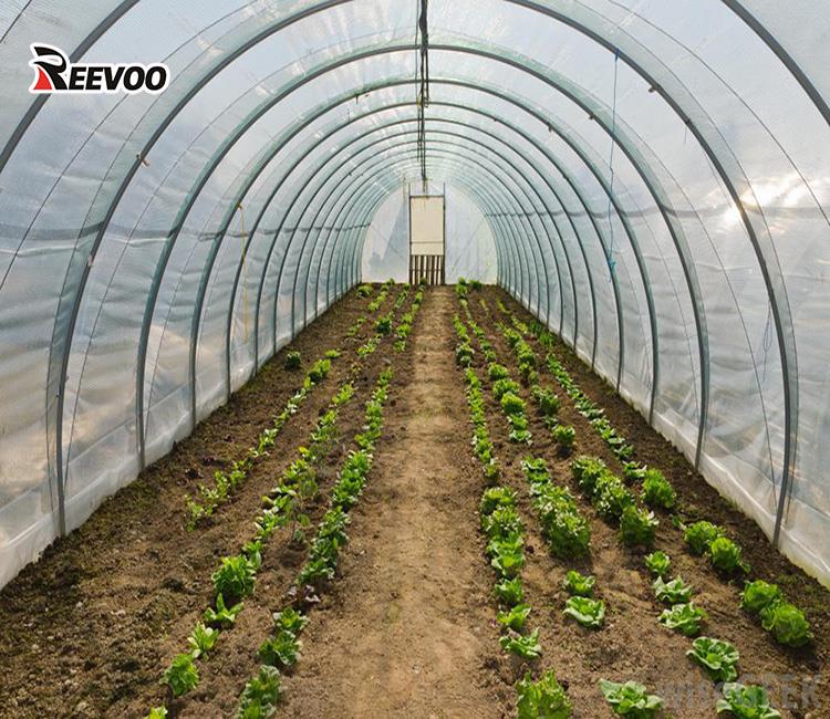 greenhouse-inside.jpg