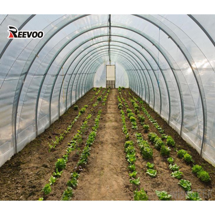 greenhouse-inside