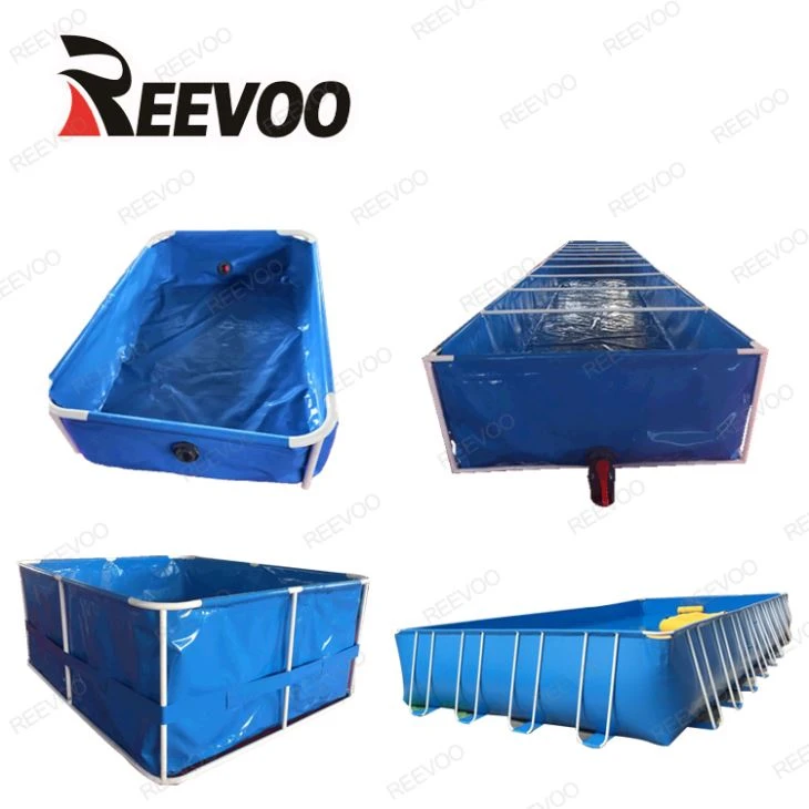 Tanques de peixes ecológicos